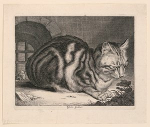 Le grand chat - Cornelis Visscher