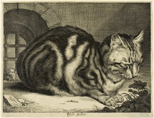 Le grand chat - Cornelis Visscher