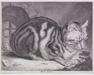 Le grand chat - Cornelis de Visscher