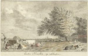 Vaches dans un pré - Cornelis van Noorde