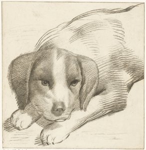 Chien couché - Cornelis van Noorde