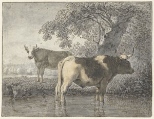 Deux vaches sous un arbre près de l