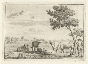 Cinq vaches dans un pré - Cornelis van Noorde