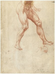 Étude du bas du corps d