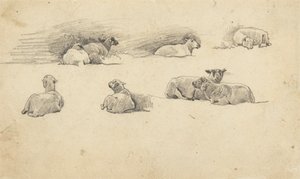 Étude de moutons - Cornelius Varley