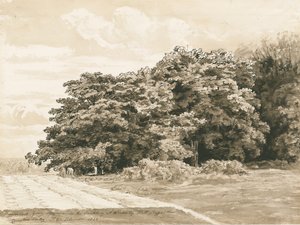 Wrottesley Hall - Le Bosquet: dessin sépia, 1820 - Cornelius Varley