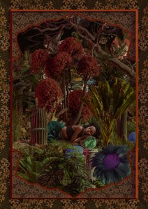 Le jardin fantastique de la femme endormie - CosmoZach