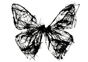Papillon noir, 2021 (encre acrylique sur papier chiffon) - Courtenay Kusitor