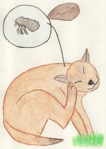 La Puce Effrontée
