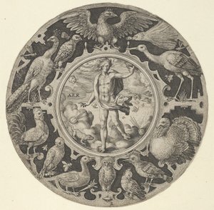 Aer dans une bordure décorative avec des oiseaux, d