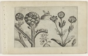 Artichaut et saponaire - Crispijn van de Passe (I) (attributed to)