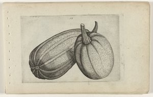Deux melons