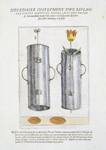 Dispositif pour replanter des fleurs, de 