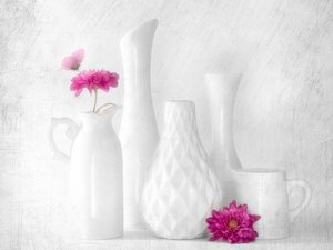 Fleurs roses, vases blancs