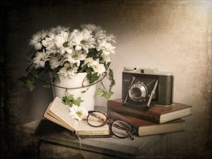 Nature morte vintage