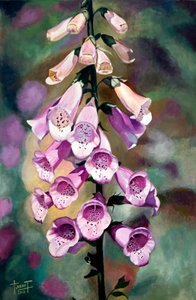Doigts violets, 2010