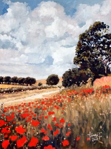 Coquelicots sauvages, Hertfordshire, 2010