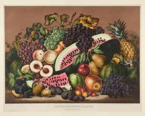 Pièce de fruits américains; Planche CCLXXXI - Currier and Ives