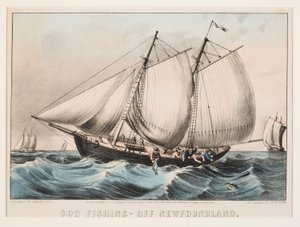 Pêche à la morue - Au large de Terre-Neuve