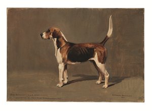 "Woldsman" - Cuthbert Bradley