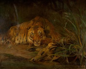 Tigre et proie, 1931 - Cuthbert Edmund Swan