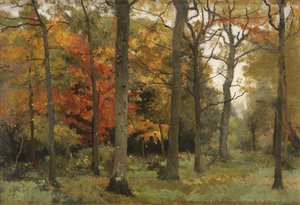 Feuilles d