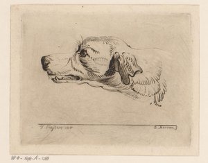 Tête de chien - D. Merrem