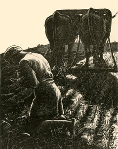 Le Trésor caché, 1864 - Dalziel Brothers