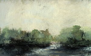 Ruisseau de la forêt - Dan Hobday