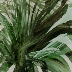 Palmiers