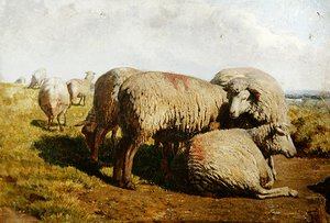 Un groupe de moutons