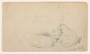 Dessin, chat et trois chatons ; verso : homme arabe assis recevant un homme, probablement d