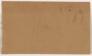 Dessin, Dash (un Setter), tête et corps, vers 1862