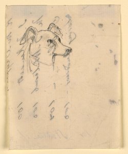 Dessin, tête de chien, probablement Milo (un Pointer), vers 1862 - Daniel Huntington