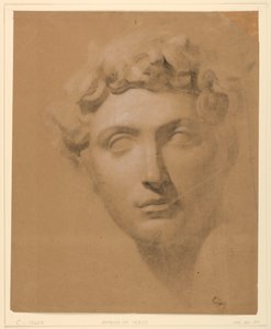 Dessin, Tête d