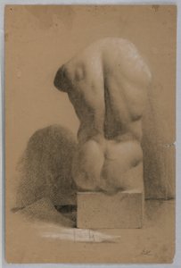 Dessin, torse masculin d