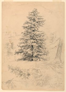 Dessin, étude d