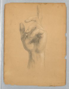 Étude de la main d