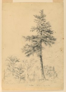 Étude de la pruche, Gorham, New Hampshire - Daniel Huntington
