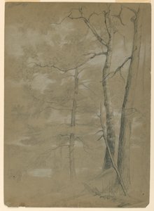 Étude de pruche et de hêtre, White Lake - Daniel Huntington