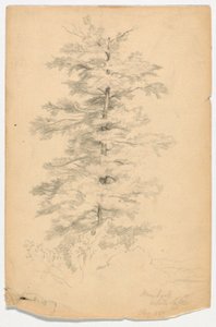 Étude de la pruche près du lac Blanc - Daniel Huntington