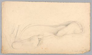 Étude des pieds d