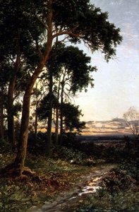 Le chemin forestier