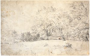 Une figure agenouillée dans un paysage montagneux. David ? ou le fils prodigue - Dankvart Dreyer
