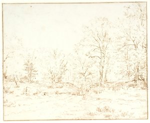 Un chemin forestier