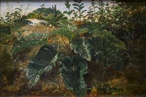 Étude de premier plan avec des feuilles de roseau