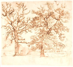 Paysage avec grands chênes au premier plan - Dankvart Dreyer