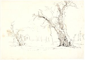 Paysage avec grands chênes, à gauche quelques maisons - Dankvart Dreyer