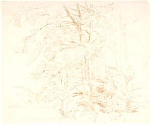 Études d