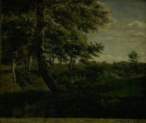 Forêt d